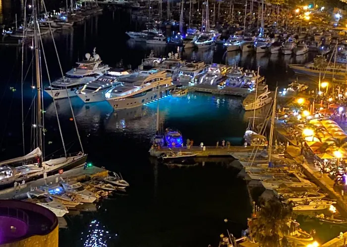 Coeur De Calvi