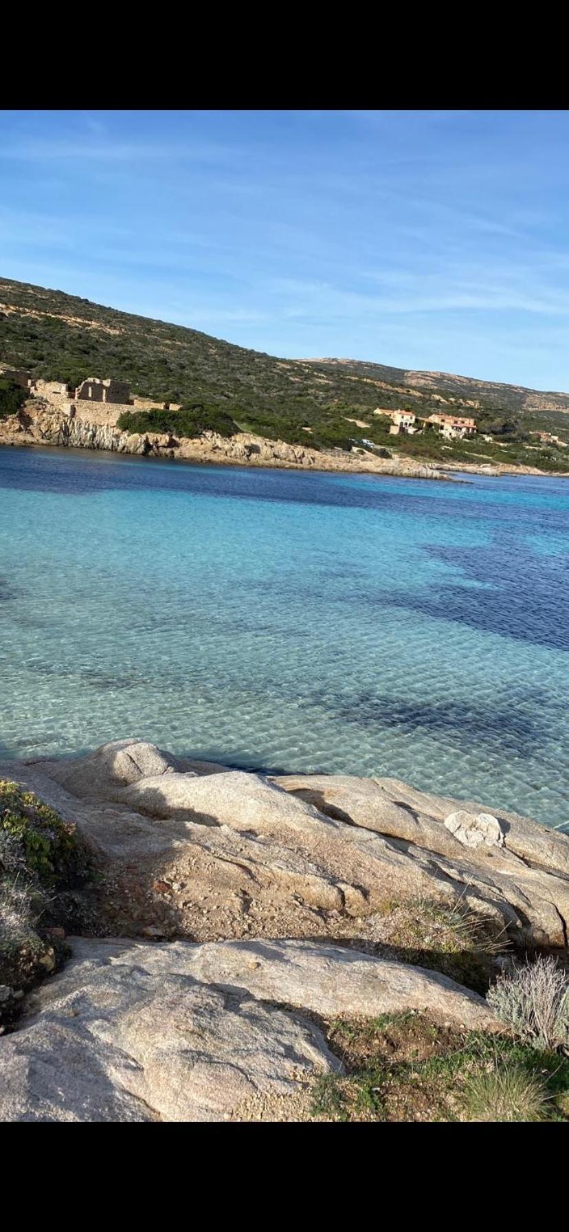 Coeur De Calvi