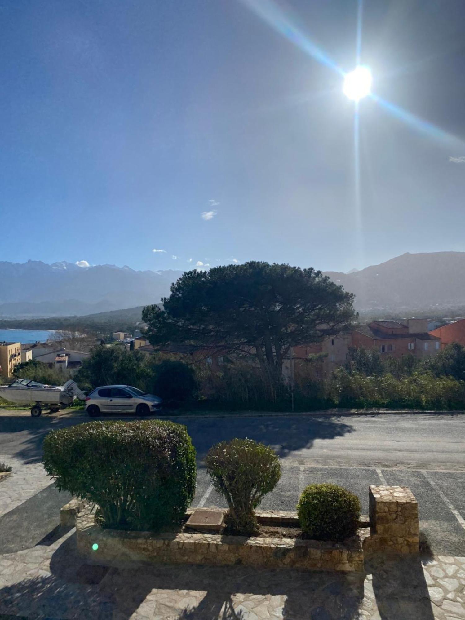Apartment Coeur De Calvi