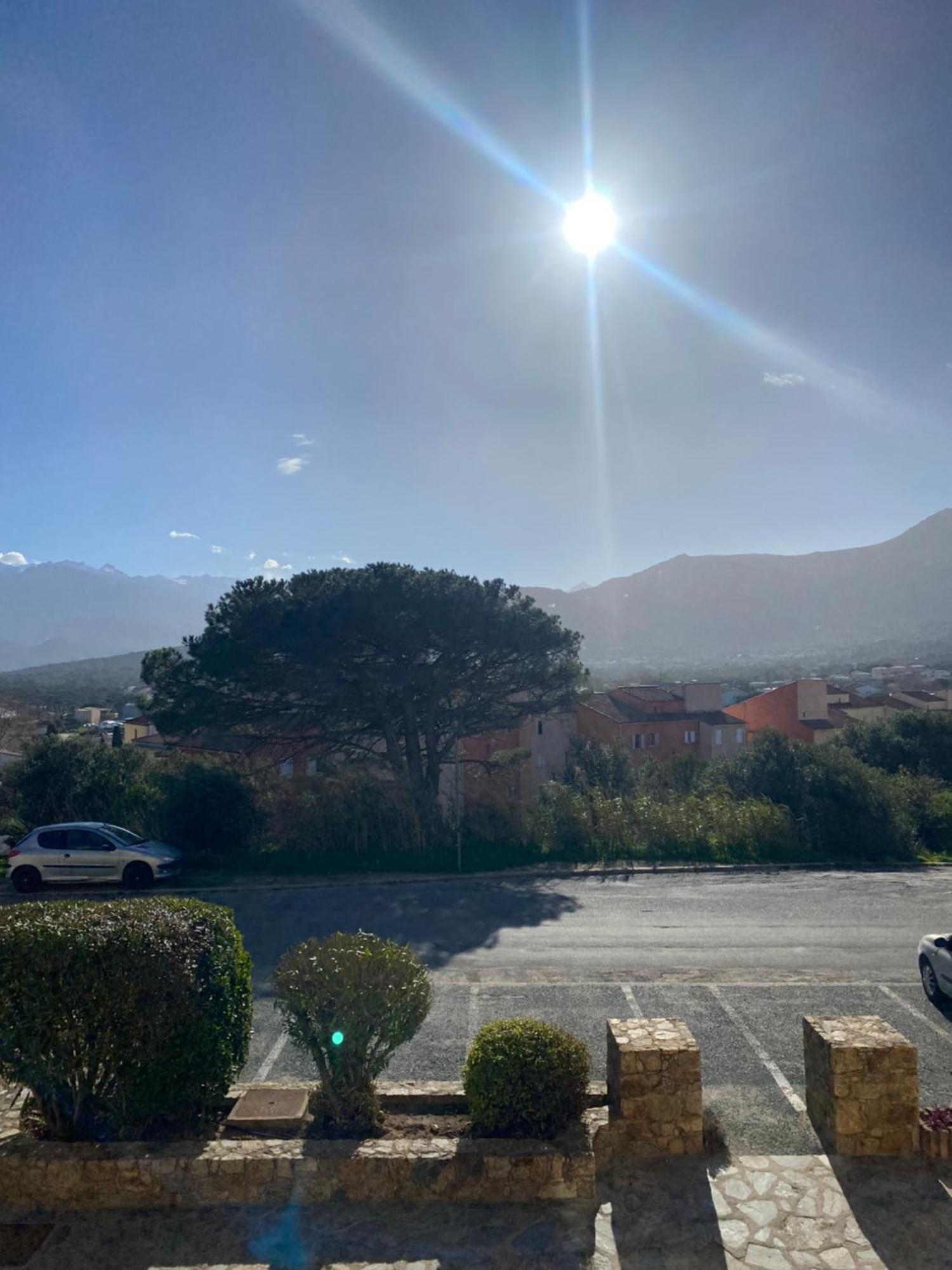 Apartment Coeur De Calvi